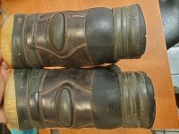 20201120_030139.jpg