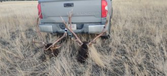 IMG_20201118_170243.jpg