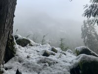 B9C8F55A-52BB-4930-A250-CF7F44806F0E.jpeg