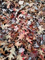 20201123_175136.jpg
