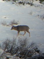 1120200732a~2.jpg