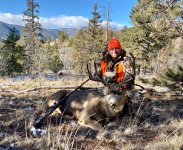 CO_2020_Mule_Deer.jpg