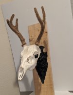 IMG_20200731_210713.jpg