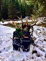 2215FC53-80F4-4768-A417-9891378EC4A9.jpeg