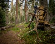 2020 Best Bull Elk Hunt Photo Contest 4x5_reduced.jpg