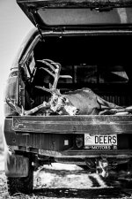 4554D121-E95B-4730-9219-4984D115A88B.jpeg
