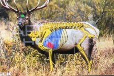Elk.jpg