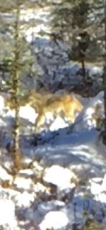 20D45F58-684E-4D54-8579-F97BFDBE4480.jpeg