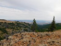 DSCN0274.JPG