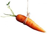 carrot-300x222.jpg