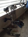 bow2.jpg