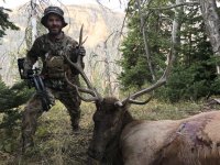2020 Bull.jpg