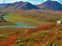 NSlope_BrooksRange.jpg