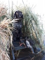 20191009_085529.jpg 20191009_085529.jpg