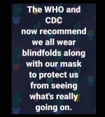 1607216918506.png
