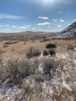 IMG_9190.jpg