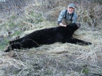 Black Bear.jpg