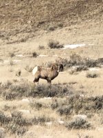 IMG_4889.JPEG IMG_4889.JPEG