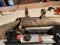 IMG-6295.jpg IMG-6295.jpg