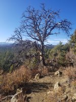 20191022_163448.jpg