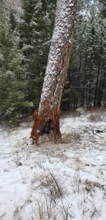 20201214_111728.jpg