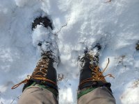 20201103_132155.jpg