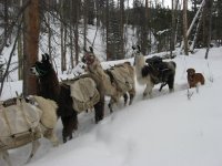 IMG_4268.JPG