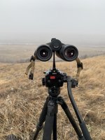 D4FD9CFD-E402-4F96-80A2-BED2BE999303.jpeg D4FD9CFD-E402-4F96-80A2-BED2BE999303.jpeg