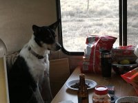 BDD23389-9F88-4262-8E38-A38085FA020B.jpeg