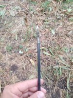 IMG_20200910_161903513.jpg IMG_20200910_161903513.jpg