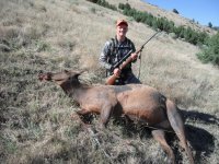 Alek Cow Elk.JPG Alek Cow Elk.JPG