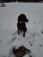 20201222_171454.jpg