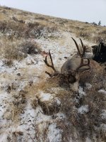 20201110_101314.jpg