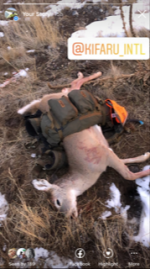 deer on stryker 2.png