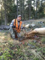 2016.32 win spike bull.JPG 2016.32 win spike bull.JPG