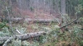 20191123_163111.jpg 20191123_163111.jpg