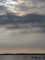 4947D44D-1962-4B7B-9A65-10EAC926A7A0.jpeg