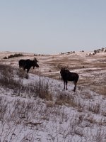 5F0B4802-B25B-4C8A-8413-D15173A8FFF3.jpeg