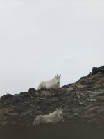 IMG_4504.JPG