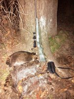 coon19-6.jpg
