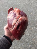 IMG_20201114_123958577.jpg
