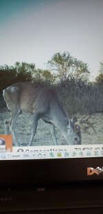 FD3F031F-308D-4BE7-BA89-2B2B7F934408.jpeg FD3F031F-308D-4BE7-BA89-2B2B7F934408.jpeg