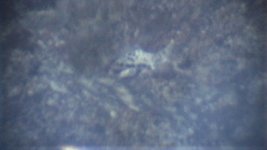 DSC00035 (2).JPG