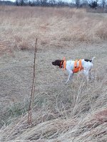 IMG_20201228_083105708.jpg