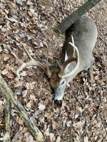 D2542254-88F8-4AEF-B702-D5A940487504.jpeg D2542254-88F8-4AEF-B702-D5A940487504.jpeg