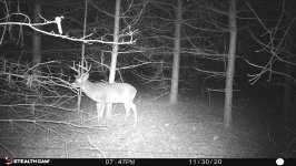 F9D9A7BB-AE19-4CAE-9DFD-16A015F3991F.jpeg F9D9A7BB-AE19-4CAE-9DFD-16A015F3991F.jpeg