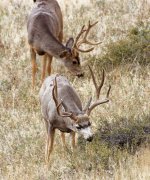 IMG_2815_DxO (Custom).jpg