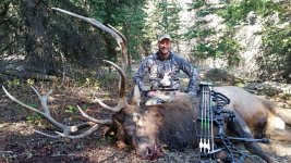 WY Bull Pic 1 Edited.jpg