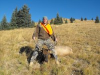 first bull elk.jpg