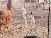 IMG_20200916_184306207.jpg